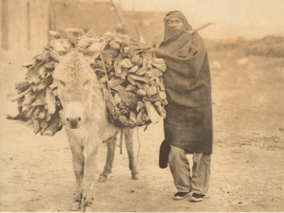 A LOAD OF FUEL — ZUNI EDWARD CURTIS NORTH AMERICAN INDIAN PHOTO